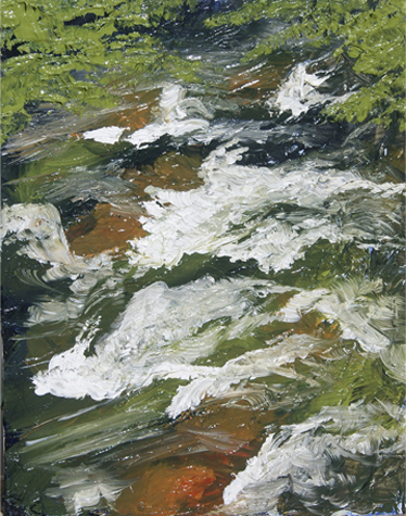 swift river nature painting